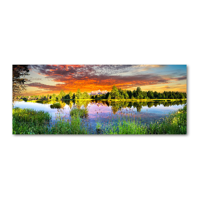 Acrylglas-Druck Fluss im Wald