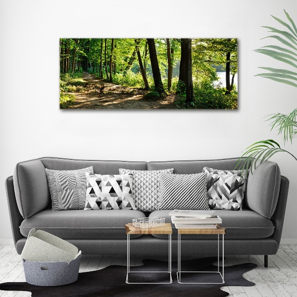 Foto auf Acryl Pfad in der Wiese