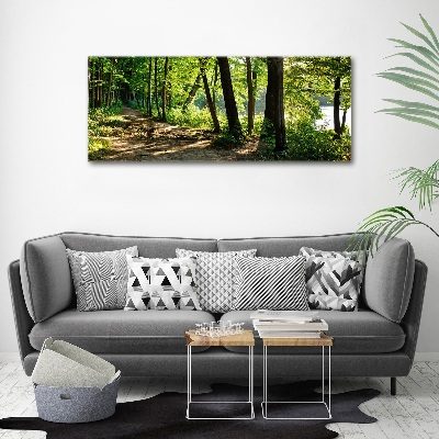 Foto auf Acryl Pfad in der Wiese