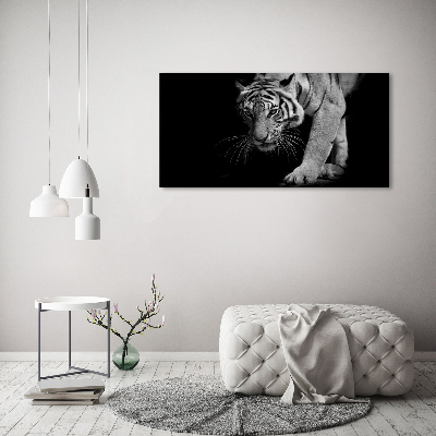 Acrylbild Fotodruck Tiger