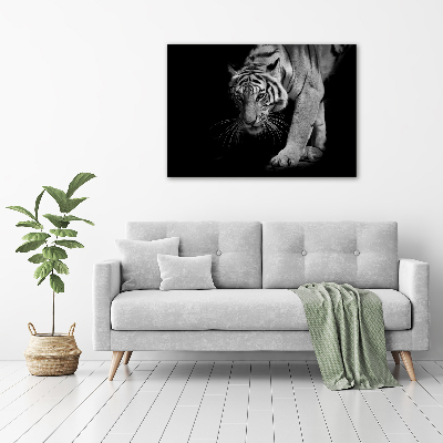 Acrylbild Fotodruck Tiger