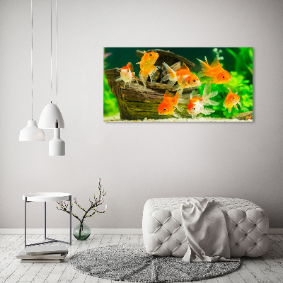 Acrylglas-Druck Goldfisch