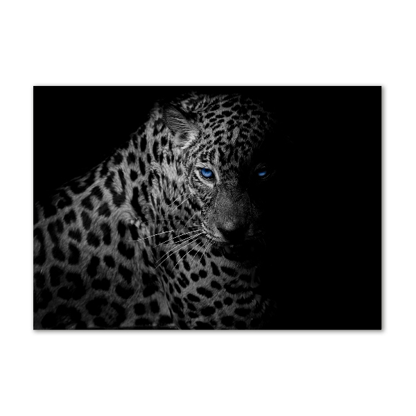 Foto auf Acryl Leopard
