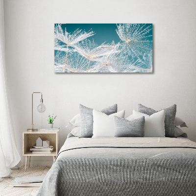 Acrylglas-Druck Löwenzahnsamen