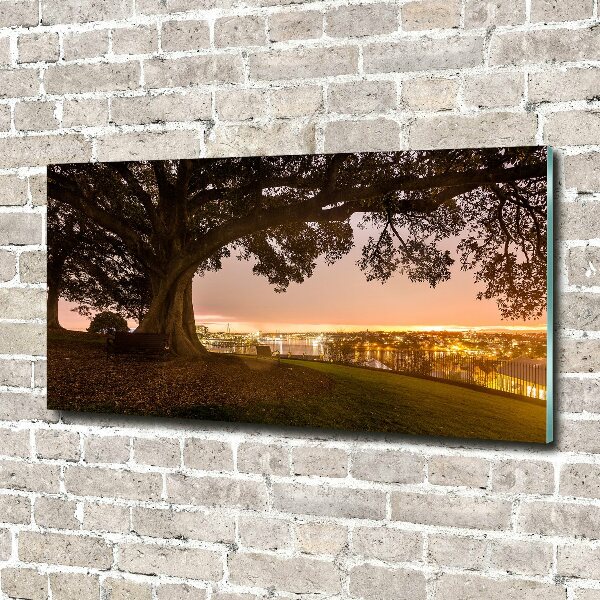 Acrylglas-Druck Alter Baum