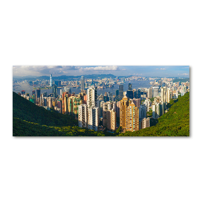 Bild auf Acrylglas Hongkong-Panorama