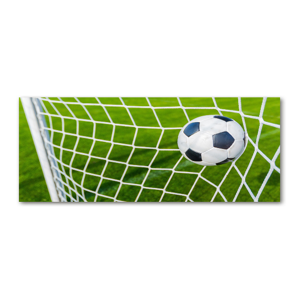 Bild auf Acrylglas Der Ball ist im Tor
