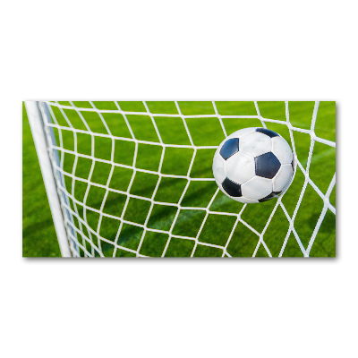 Bild auf Acrylglas Der Ball ist im Tor