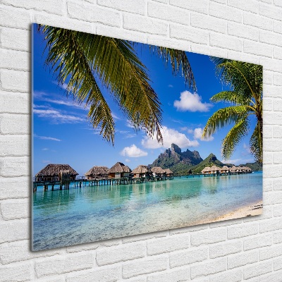 Bild auf Acrylglas Palmen in Bora Bora