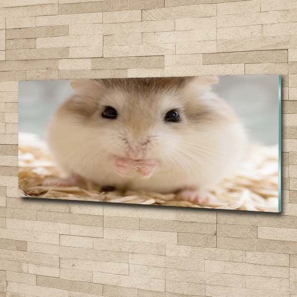 Acrylglas-Druck Hamster