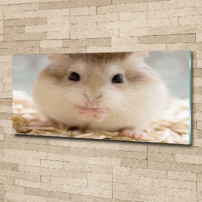 Acrylglas-Druck Hamster