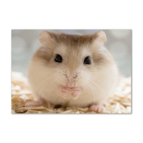 Acrylglas-Druck Hamster