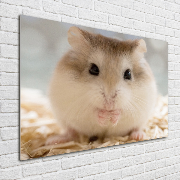 Acrylglas-Druck Hamster
