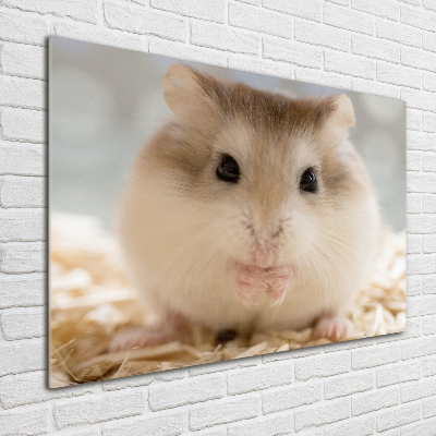 Acrylglas-Druck Hamster
