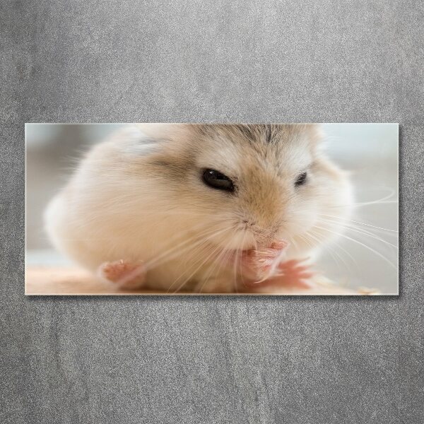 Foto auf Acryl Hamster