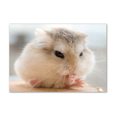 Foto auf Acryl Hamster