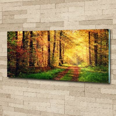 Acrylbild Fotodruck Wald im Herbst