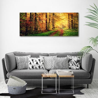 Acrylbild Fotodruck Wald im Herbst