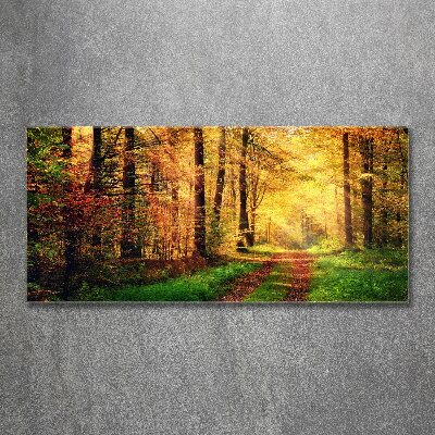 Acrylbild Fotodruck Wald im Herbst