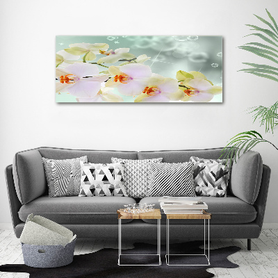 Acrylglas-Druck Weiße Orchidee
