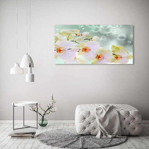 Acrylglas-Druck Weiße Orchidee