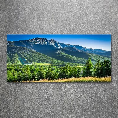 Acrylbild Fotodruck Skisprungschanze in den Tatra-Bergen