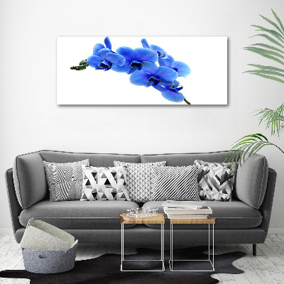 Foto auf Acryl Blaue Orchidee