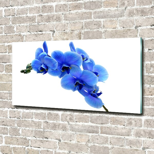 Foto auf Acryl Blaue Orchidee