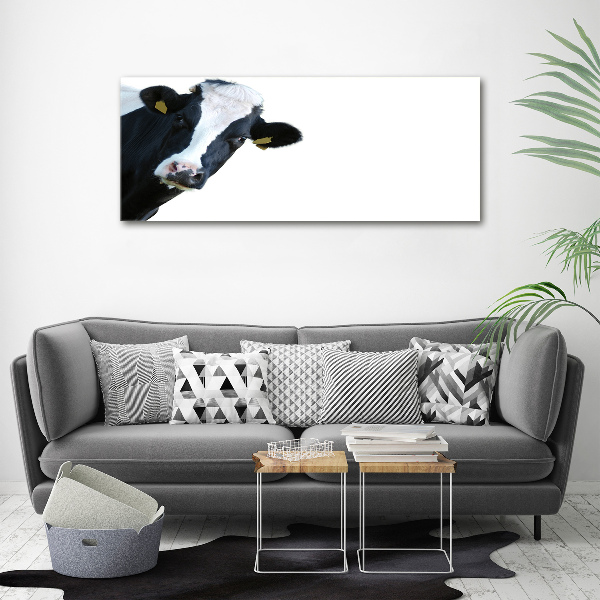 Acrylbild Fotodruck Kuh