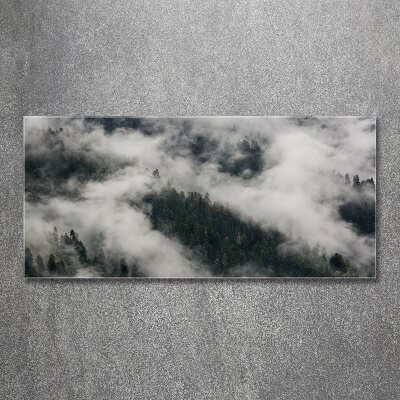 Bild auf Acrylglas Nebel über dem Wald