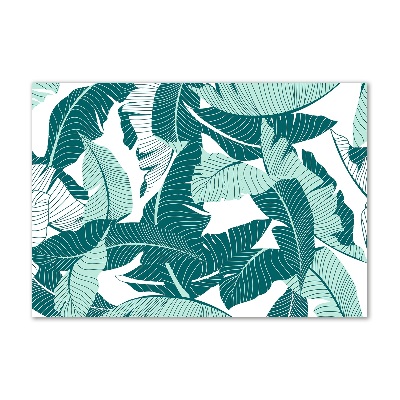 Acrylbild Fotodruck Palmen