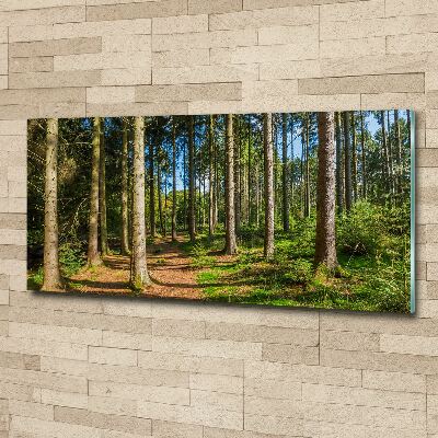 Foto auf Acryl Waldpanorama