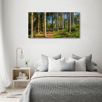 Foto auf Acryl Waldpanorama