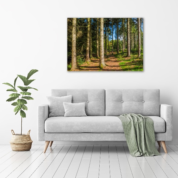 Foto auf Acryl Waldpanorama