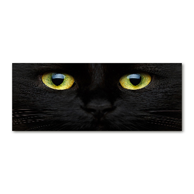 Acrylbild Fotodruck Katzenaugen