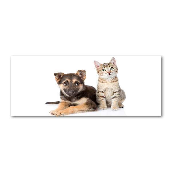 Acrylglas-Druck Hund und Katze
