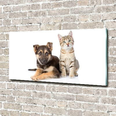 Acrylglas-Druck Hund und Katze