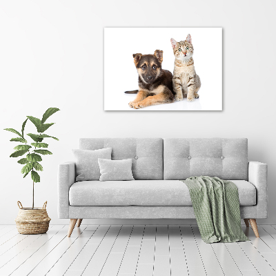 Acrylglas-Druck Hund und Katze