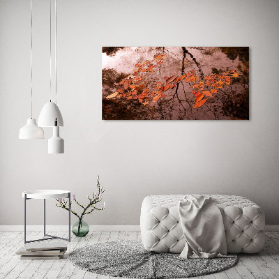 Foto auf Acryl Blätter auf dem Wasser