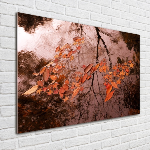 Foto auf Acryl Blätter auf dem Wasser