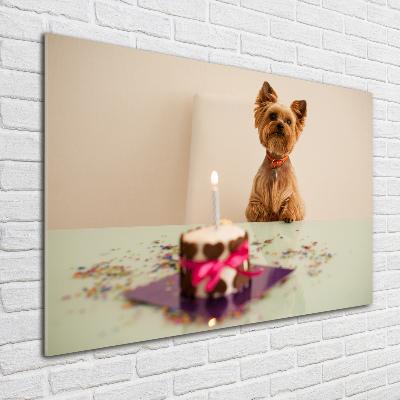 Foto auf Acryl Hund mit Kuchen