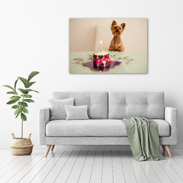Foto auf Acryl Hund mit Kuchen