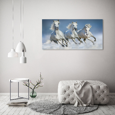 Acrylbild Fotodruck Pferde im Galopp