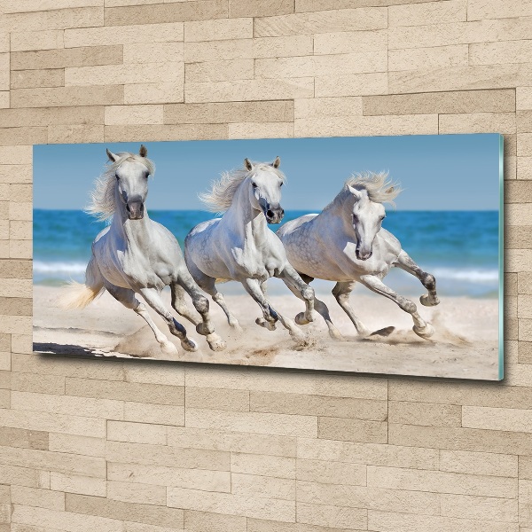 Acrylglas-Druck Strand von White Horses