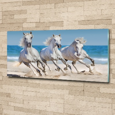 Acrylglas-Druck Strand von White Horses
