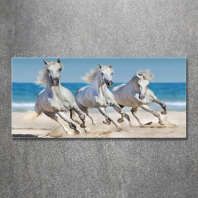 Acrylglas-Druck Strand von White Horses
