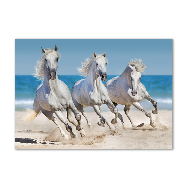 Acrylglas-Druck Strand von White Horses