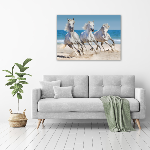 Acrylglas-Druck Strand von White Horses
