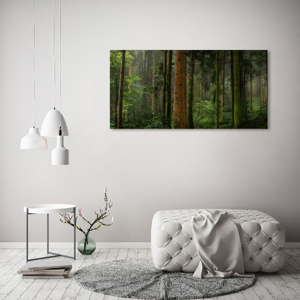 Bild auf Acrylglas Nebel im Wald