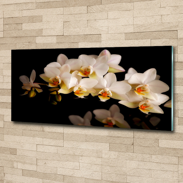 Acrylbild Fotodruck Orchidee
